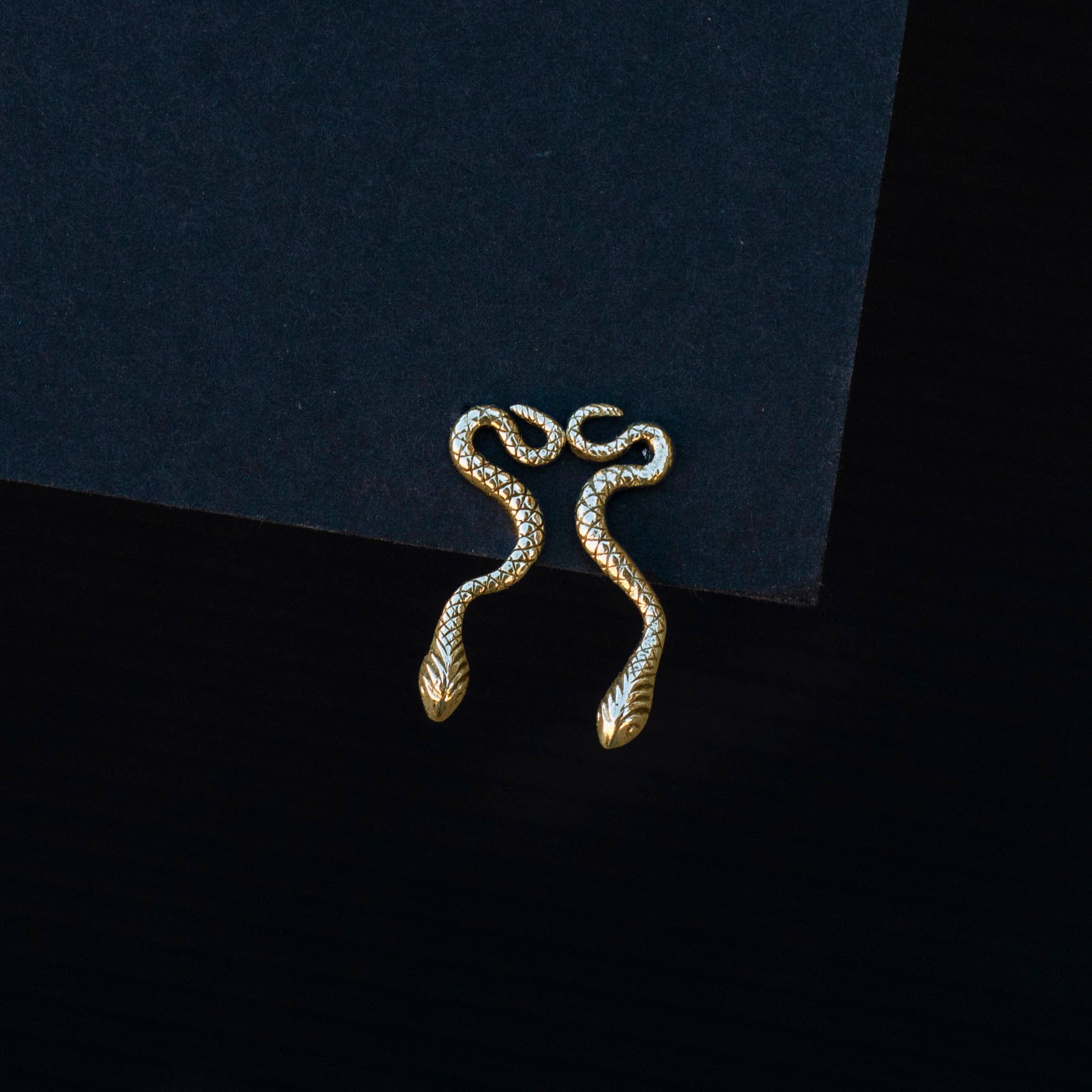 Sterling silver snake post earrings with a coiled design.