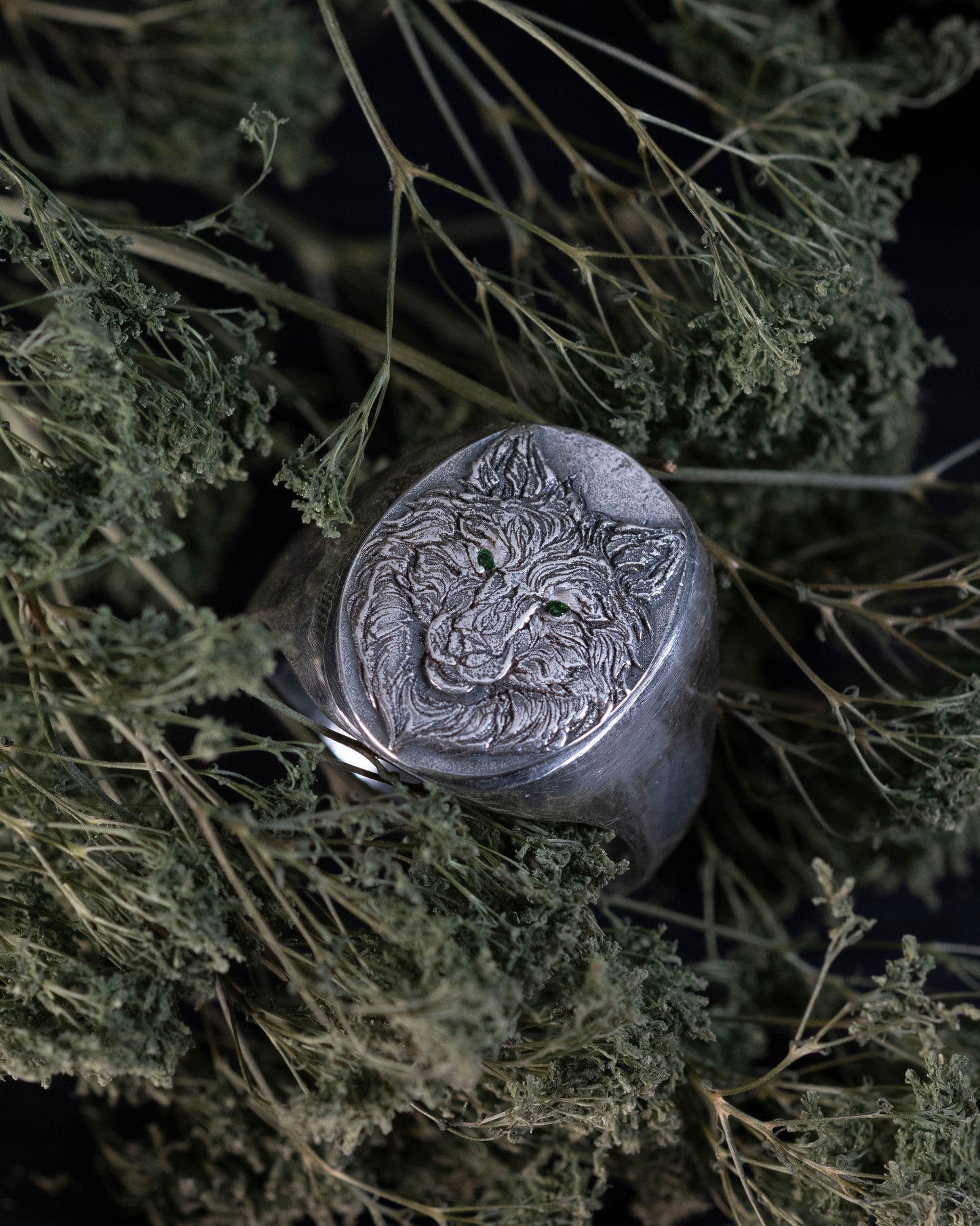 Wolfe Family Shield Signet Ring - Silver Wolf