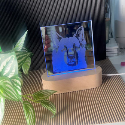 Pet Portrait Mirror - Custom Engraved